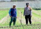 Bhabinkamtibmas-Desa-Bakung-Temenggungan-Kunjungi-Lahan-Pekarangan-Pangan-Bergizi
