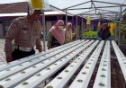 Bhabinkamtibmas-Kalidawir-Polsek-Tanggulangin-Sambangi-Warga-yang-Kelola-Lahan-Pekarangan-Bergizi