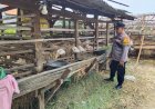 Polsek-Porong-Tinjau-Lahan-Ketahanan-Pangan-di-Desa-Kebonagung