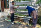 Bhabinkamtibmas-dan-Ketua-Bumdes-Apresiasi-Program-Ketahanan-Pangan-Berbasis-Hidroponik-di-Perumahan-MCA-Sumorame