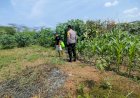 Bhabinkamtibmas-Keboananom-Tinjau-Lahan-Jagung-Dukung-Ketahanan-Pangan-Nasional
