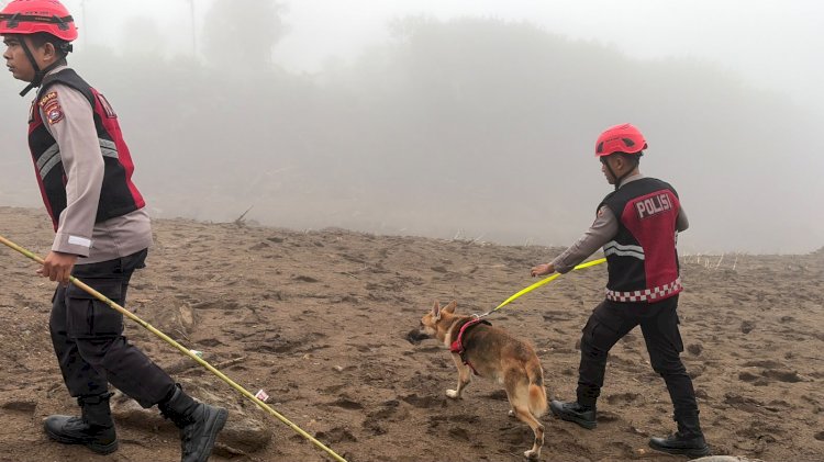Unit Polsatwa Ditsamapta Polda Sumbar Turunkan K9 Spesifikasi SAR Telusuri Jalur Air Bah