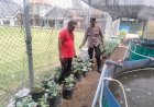Polsek-Buduran-Optimalisasi-Pengelolahan-Lahan-Peternakan-dan-Sayur-untuk-Ketahanan-Pangan