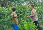 POLRESTA-SIDOARJO-|-Bhabinkamtibmas-di-Wilayah-Kecamatan-Taman-Masifkan-Ketahanan-Pangan-Tingkat-Desa