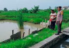 Polsek-Sukodono-Tinjau-Program-Ketahanan-Pangan-Budidaya-Ikan-Nila