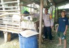 Polisi-Sidoarjo-Cek-Lahan-Peternakan-Warga,-Dukung-Swasembada-Pangan