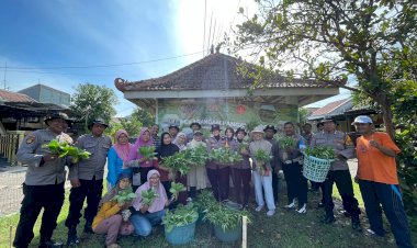 Polsek-Sedati-Bersama-Warga-Swan-Regency-Buncitan-Panen-Perdana-Ketahanan-Pangan