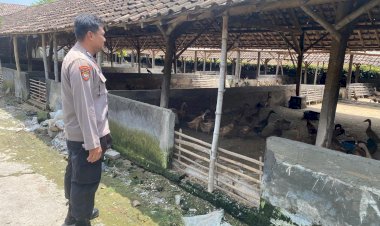 Kampung-Bebek-Desa-Kebonsari-Dukung-Ketahanan-Pangan-Polresta-Sidoarjo