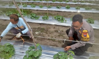 Bhabinkamtibmas-Desa-Wonoplintahan-Kunjungi-Lahan-P2B