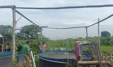 Kanit-Binmas-Polsek-Krian-Tinjau-Budidaya-Ikan-Nila-di-P2B-Bumdes-Kraton-Dukung-Program-Ketahanan-Pangan