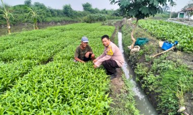 Upaya-Ketahanan-Pangan,-Bhabinkamtibmas-Desa-Jiken-Koordinasi-dengan-Petani-Sayur