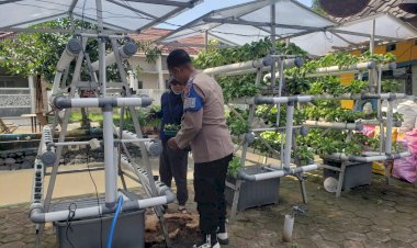 Swadaya-Mandiri-Warga-Mutiara-Citra-Asri-Kembangkan-Kebun-Hidroponik,-Polisi-Beri-Apresiasi