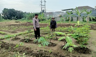 Polisi-Cek-Lahan-Sayur-Dukung-Ketahanan-Pangan