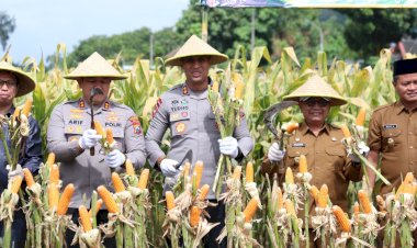 Perkuat-Ketahanan-Pangan-Polres-Blitar-Kota-bersama-Forkopimda-Panen-Raya-Jagung-Kuartal-III