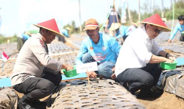 Dukung-Swasembada-Pangan,-Polda-Jatim-dan-Petani-Tanam-Bawang-Putih-Serentak