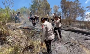 Karhutla-Hanguskan-5-Hektare-Lahan-di-Mamasa,-Polisi-dan-Damkar-Berjibaku-Padamkan-Api