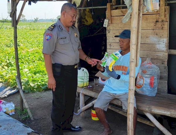 Polsek Tanggulangin Dampingi Petani Jagung Hibrida