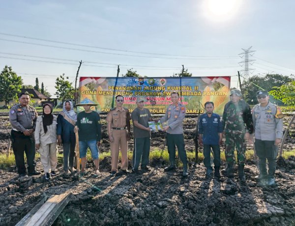 Kapolsek Wonoayu Tanam Jagung Bersama Gapoktan
