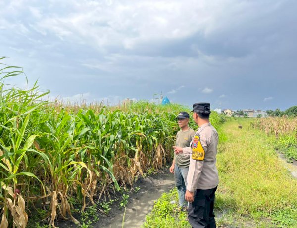 Polisi Sambangi Petani Jagung di Sepanjang, Hadirkan Semangat Baru untuk Ketahanan Pangan