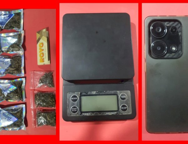 Polres Pelabuhan Tanjung Perak Ungkap Peredaran Ganja di Medos, Tersangka Pengedar Diamankan