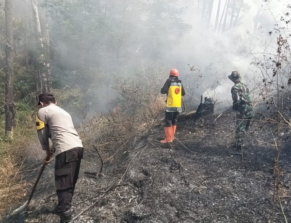 Polres Ngawi dan Tim Gabungan Jinakan Api di Gunung Botak, Medan Berat Jadi Tantangan