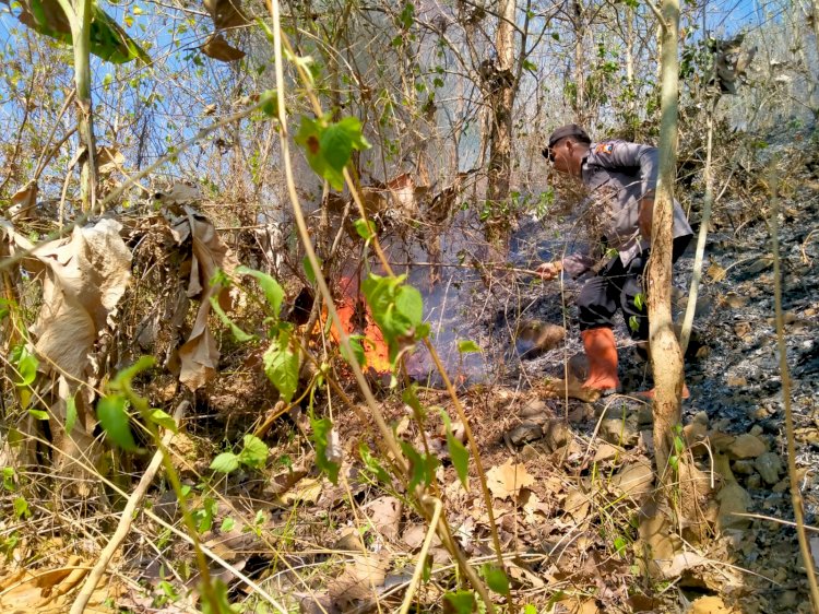 Polisi Bersama TNI dan Relawan Berhasil Padamkan Kebakaran di Gunung Liliran Ngawi