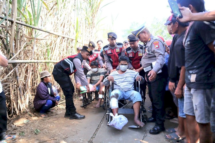 Polisi Berhasil Ungkap Komplotan Pencuri Sapi di Lumajang,Dua Tersangka Diamankan