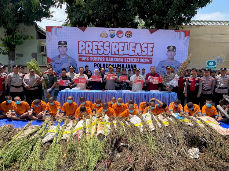 Operasi Tumpas Narkoba Semeru 2024, Polres Lumajang Berhasil Ungkap 16 Kasus dan Bongkar Ladang Ganja di TNBTS