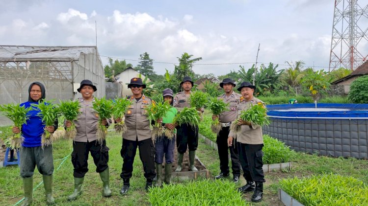 Polsek Balongbendo bersama Warga Bakungtemenggungan Panen Kangkung di Pekarangan Bergizi