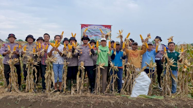 Polsek Balongbendo Gelar Panen Raya Jagung Serentak Kuartal I 2026