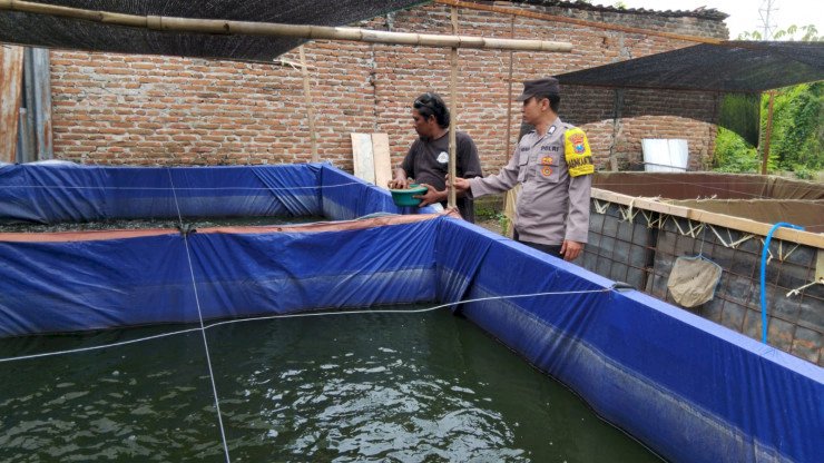 Polres Ngawi Gelorakan Swasembada Pangan, Dampingi Warga Budidaya Ikan Lele